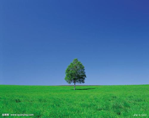 ȫIPOʶӽʷλ гǹĭ