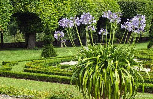 ɽһС5δůνģ31չů